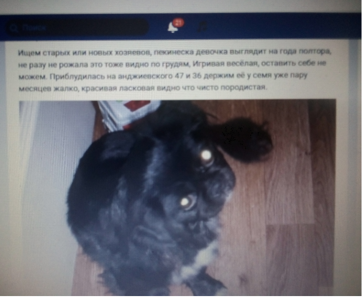 Это именно то КОВАРНОЕ объявление.