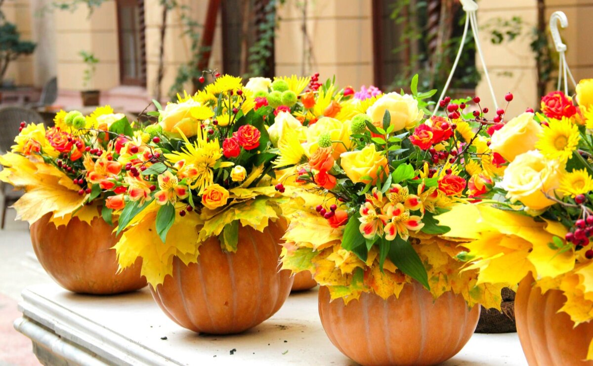 Тыква относится к колоритным продуктам и для того чтобы она стала красивым украшением дворовой территории, необходимо совсем немного фантазии. 