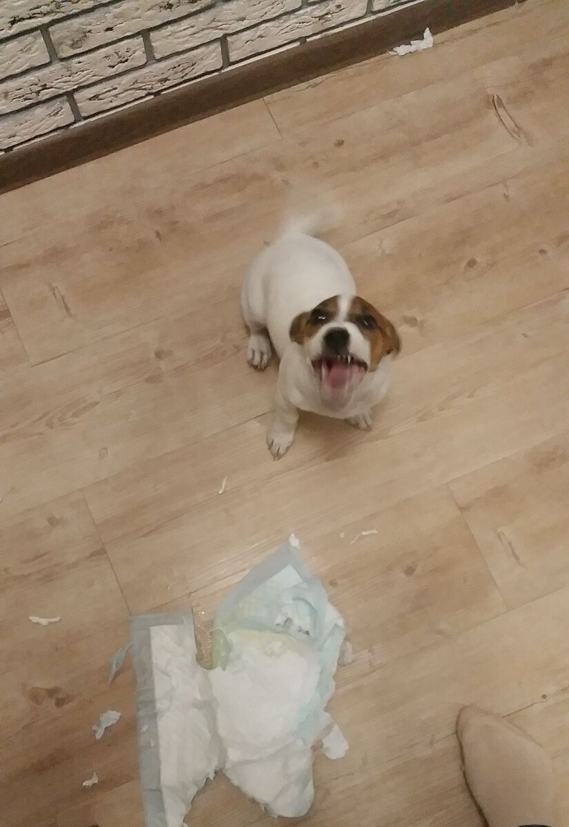 Тебя слишком долго не было, я соскучилась