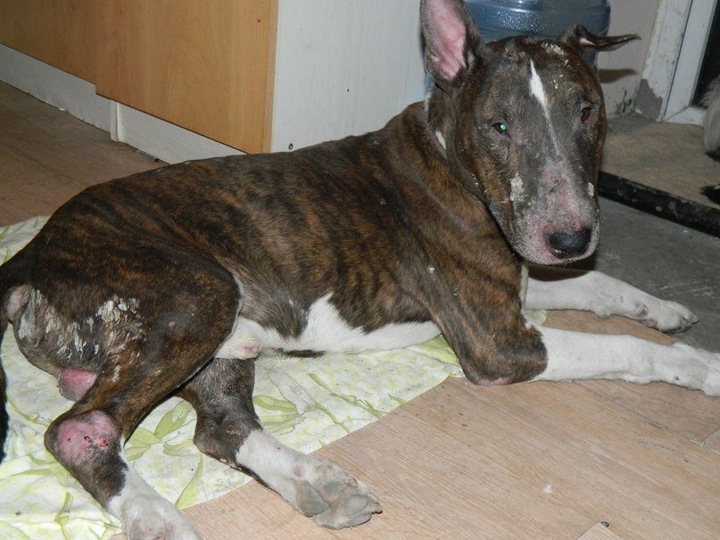 Первый час наедине.