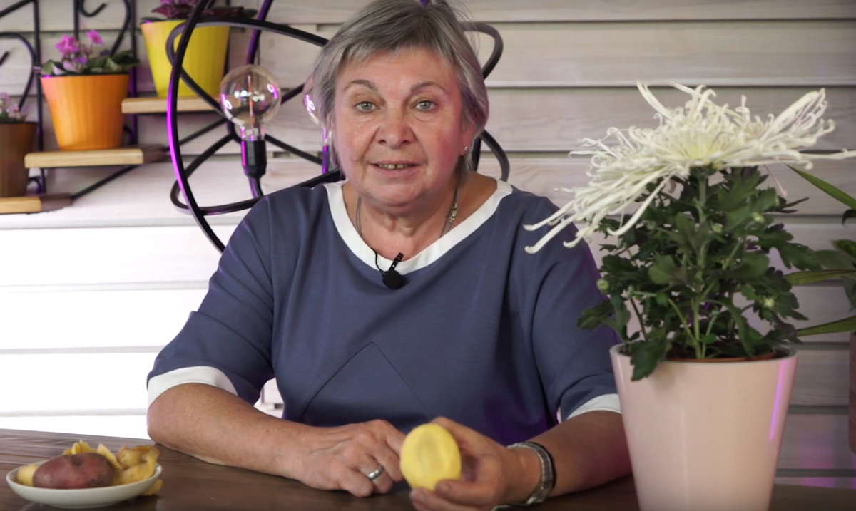 Почернение картофеля