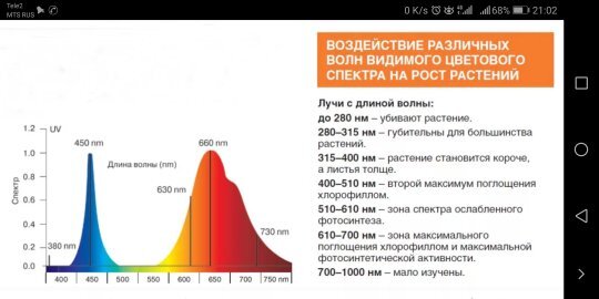 Согласно данной таблицы есть два пика поглощения хлорофиллом