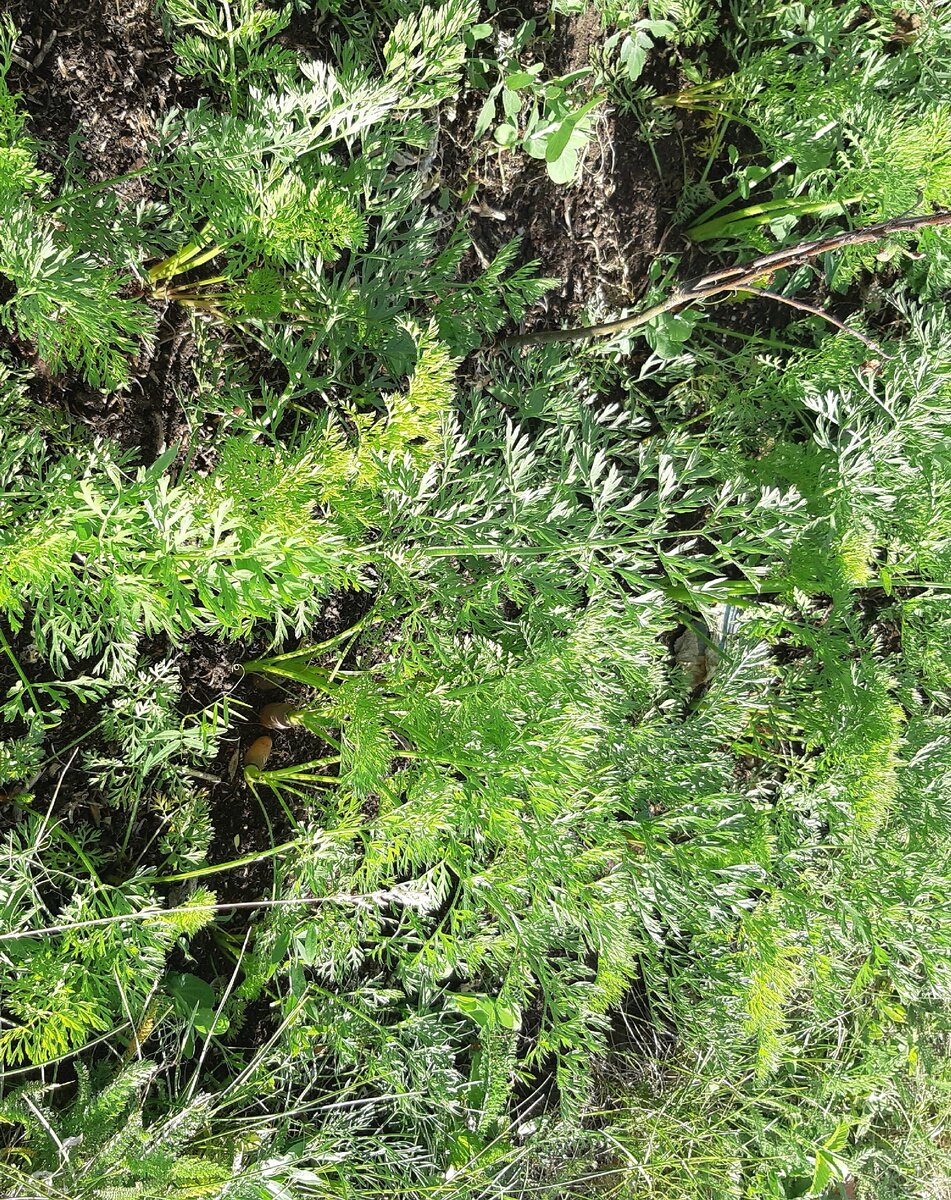 Осталось только фото)