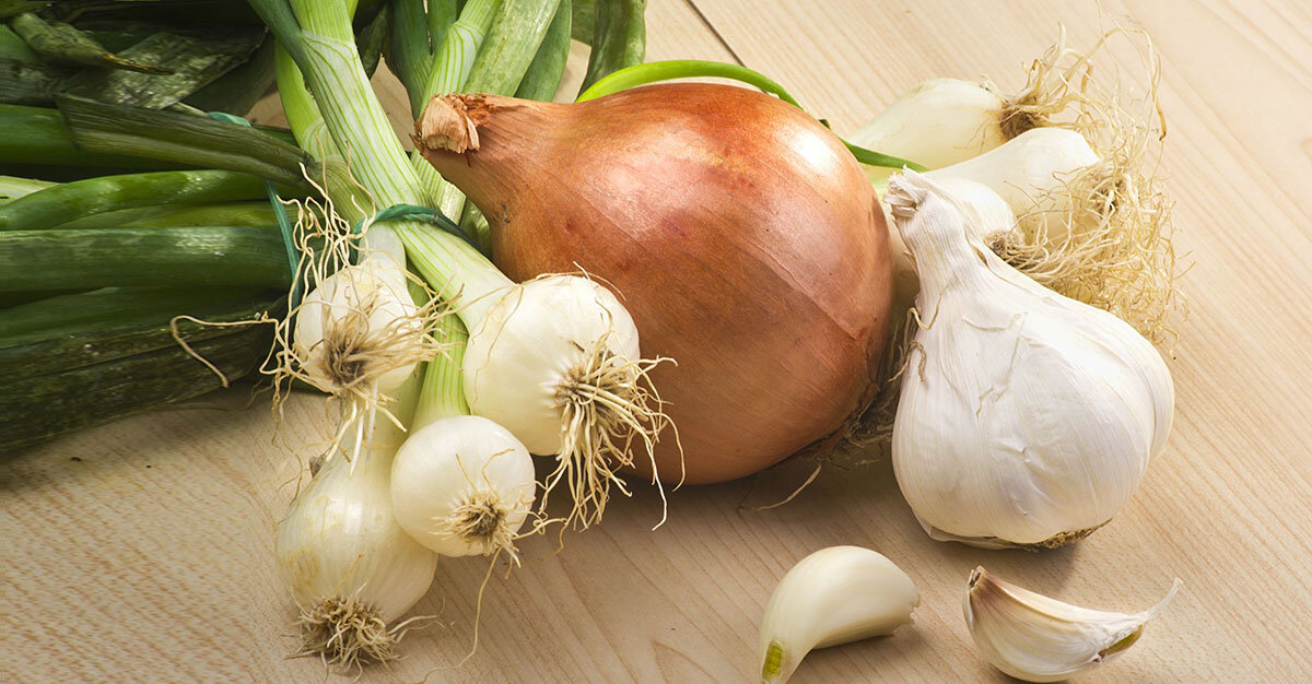 Фото взято из яндекс картинок