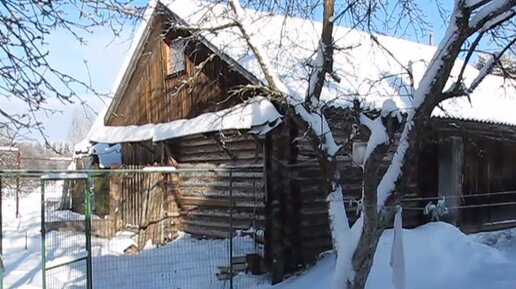 Мой курятник отапливается с помощью стружки, тепловой лампы и самих кур