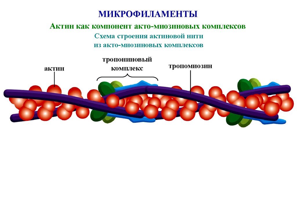 https://cf.ppt-online.org/files/slide/a/aA9H8BCgNuspLPqDVrFIURo513fKWkvylcTMYJ/slide-6.jpg