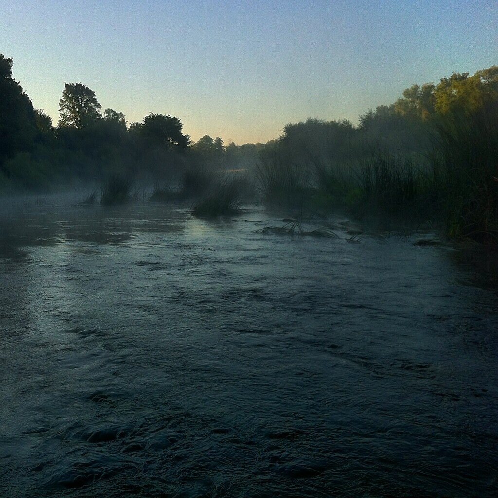 утренний туман