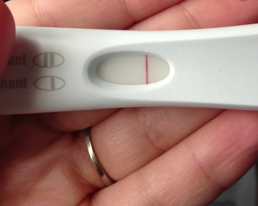 Взято из открытых источников интернета Яндекса