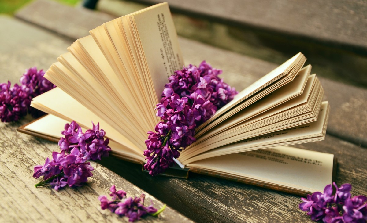   https://get.pxhere.com/photo/book-read-open-flower-purple-petal-old-relax-rest-paper-still-life-lavender-art-bank-literature-violet-lilac-browse-book-pages-scrolled-731732.jpg