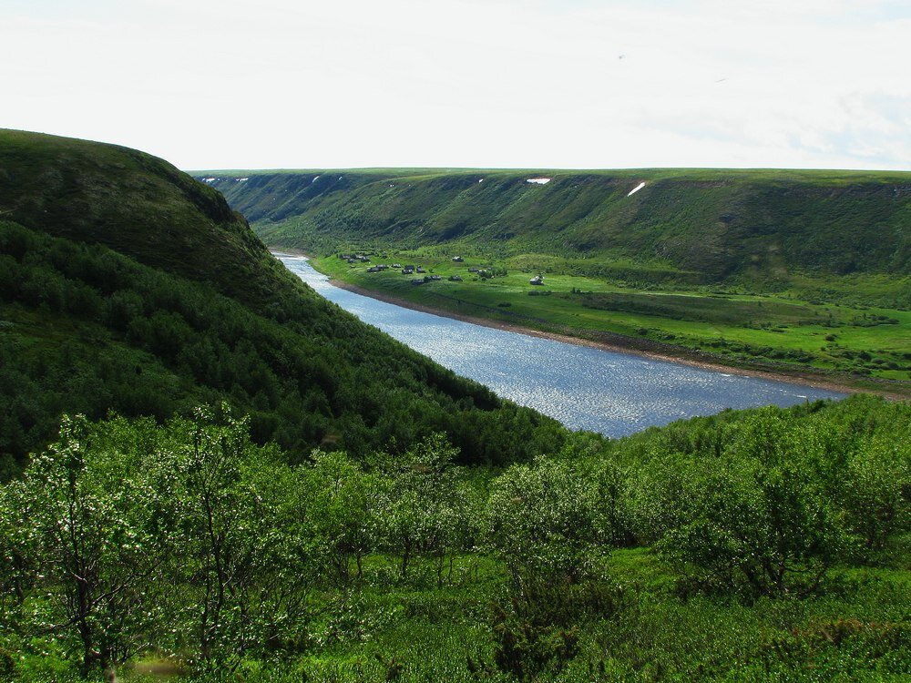 Самая длинная река мурманской области это. Река паной Кольский полуостров. Река Поной Мурманской области. Кольский полуостров река Поной. Река паной.