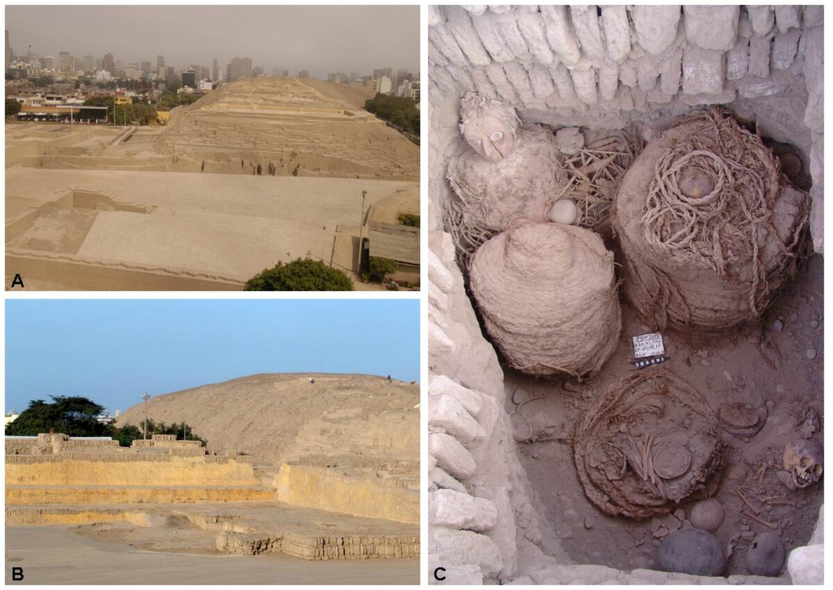 Источник: Яндекс. Картинки