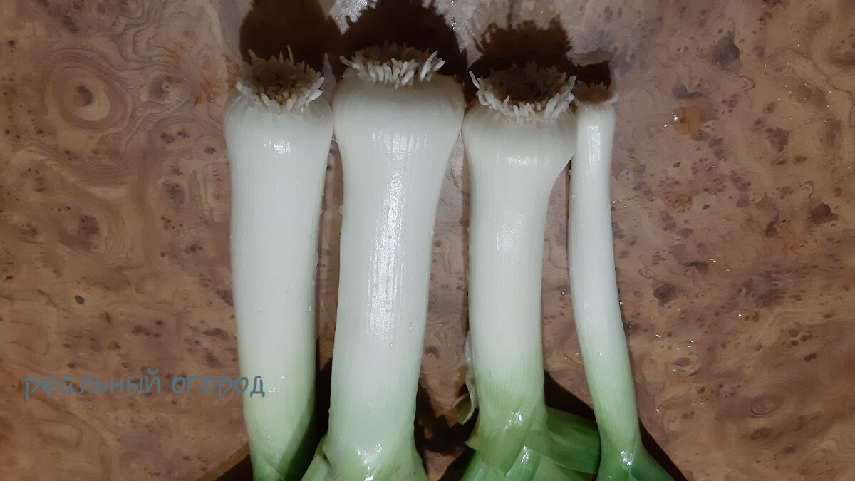 Подготовлен к хранению. Фото автора.