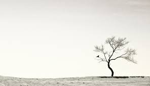 фото Одиночество автор Marat