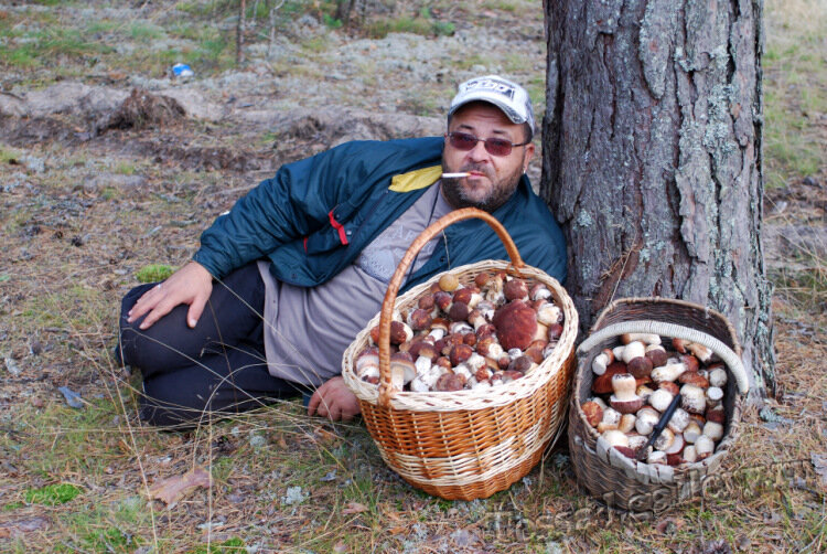 Грибники приколы фото