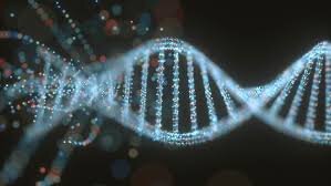 Оценка естественной продолжительности жизни проводилась путем анализа ДНК