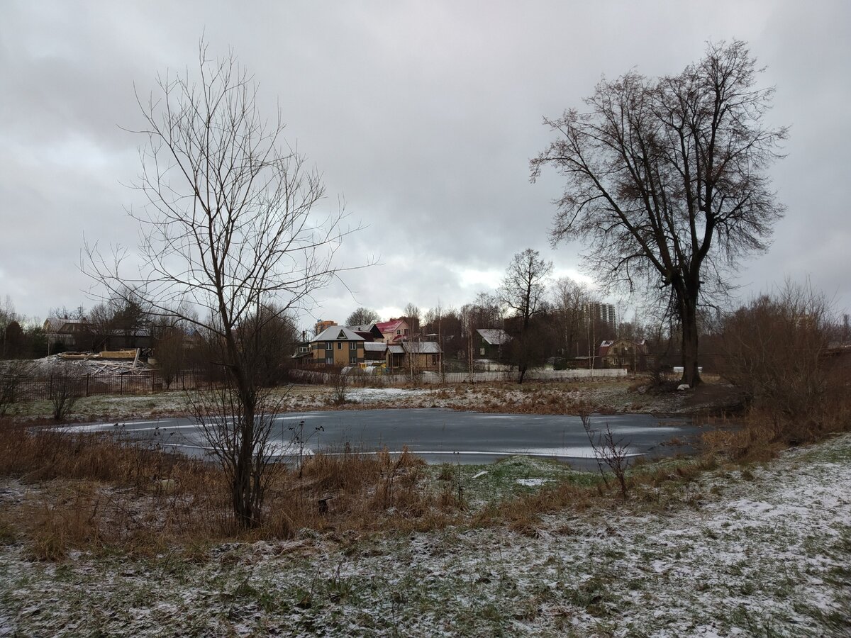 Графский пруд.Мурино