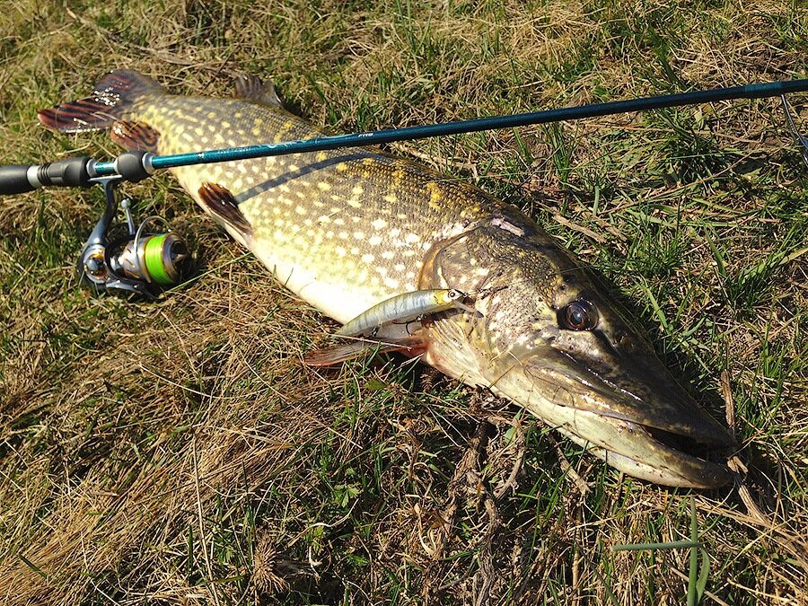 Больших трофеев!)