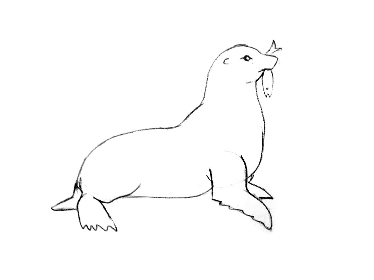 Рисование морской котик