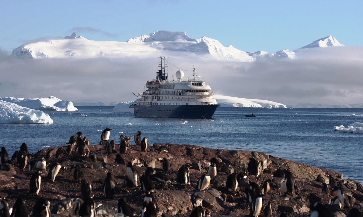 Le Boreal круиз в Антарктиду