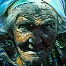 фото из открытых источников