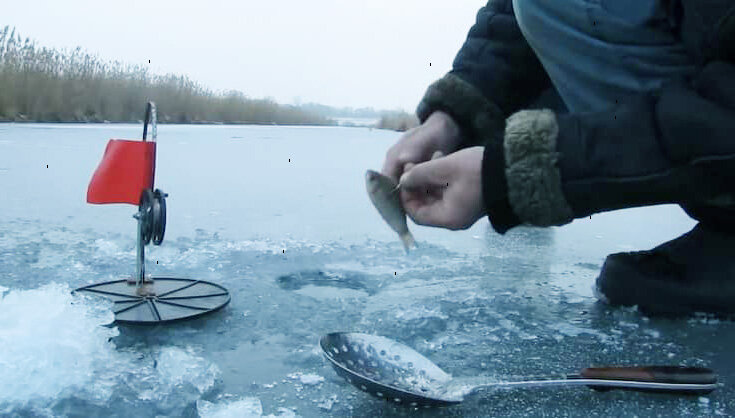 От правильности насадки живца будет зависит результат всей рыбалки