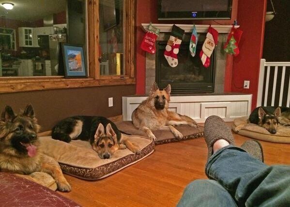 Ну как, сколько девушек сегодня отшил?  