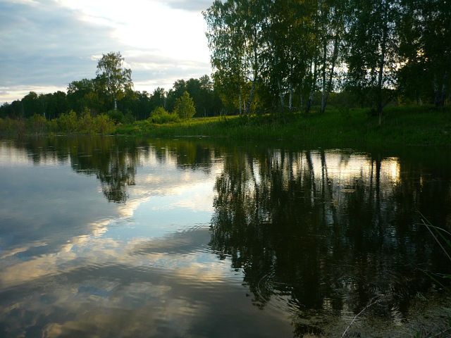 фото из личного архива