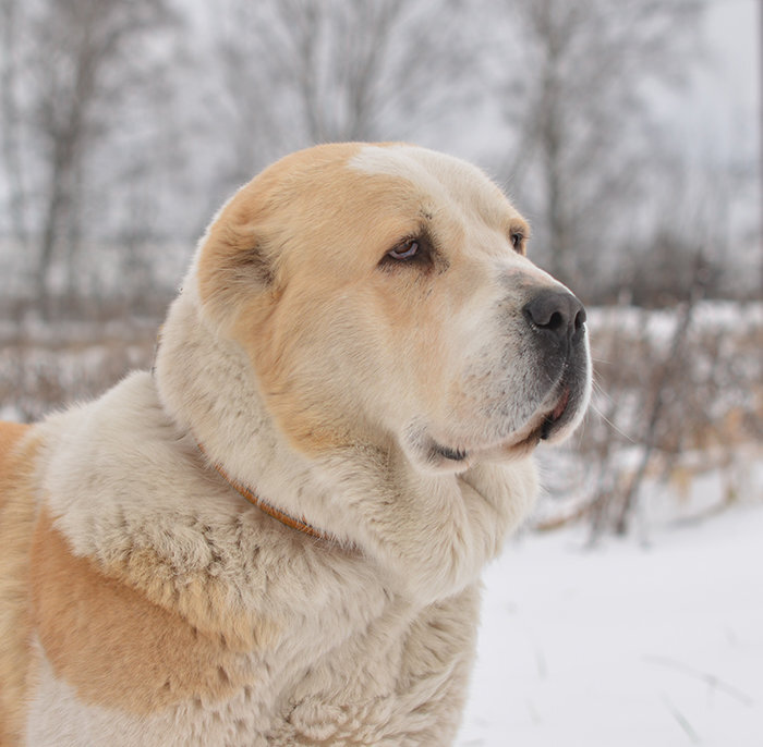 взято из открытых источников