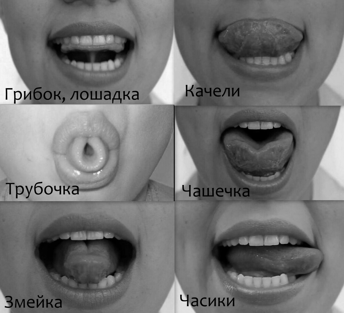 Логопедические упражнения для языка