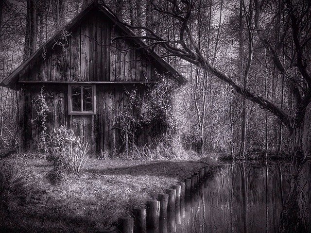 фото: pixabay