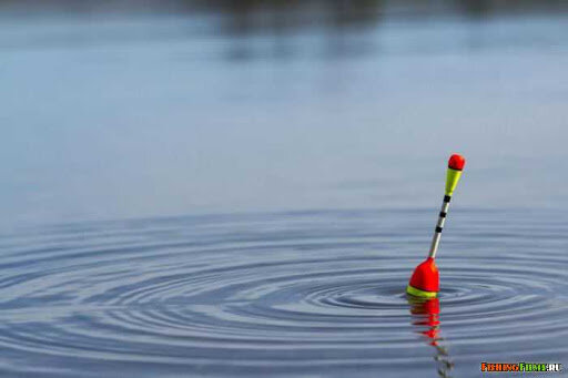 Фото взято из открытых источников 