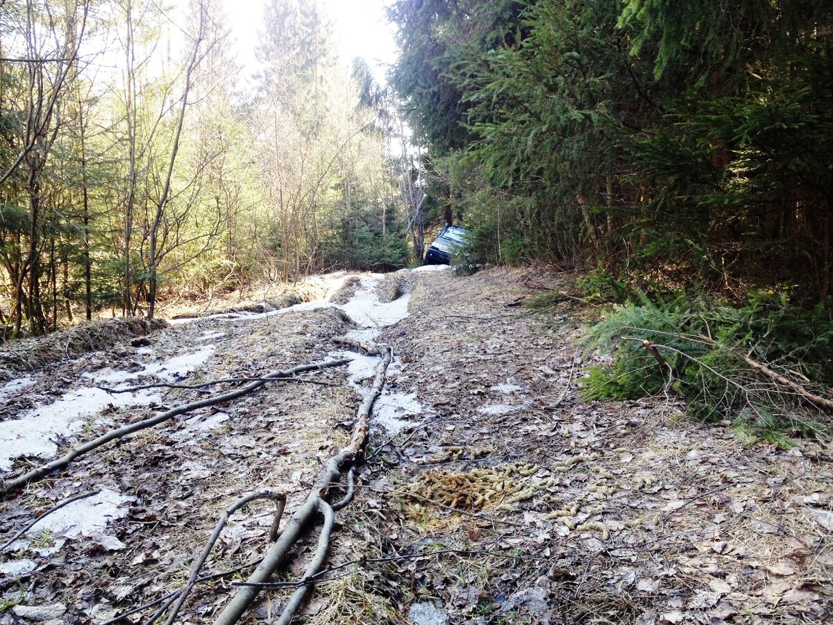 Деревня расположена в центре большого лесного массива. Четвертая попытка и  четвертая дорога, полдень,  только въехал в лес и сразу застрял. Глухарь наследил:)
