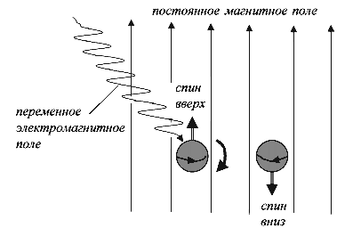 Схема Ядерного Магнитного Резонанса