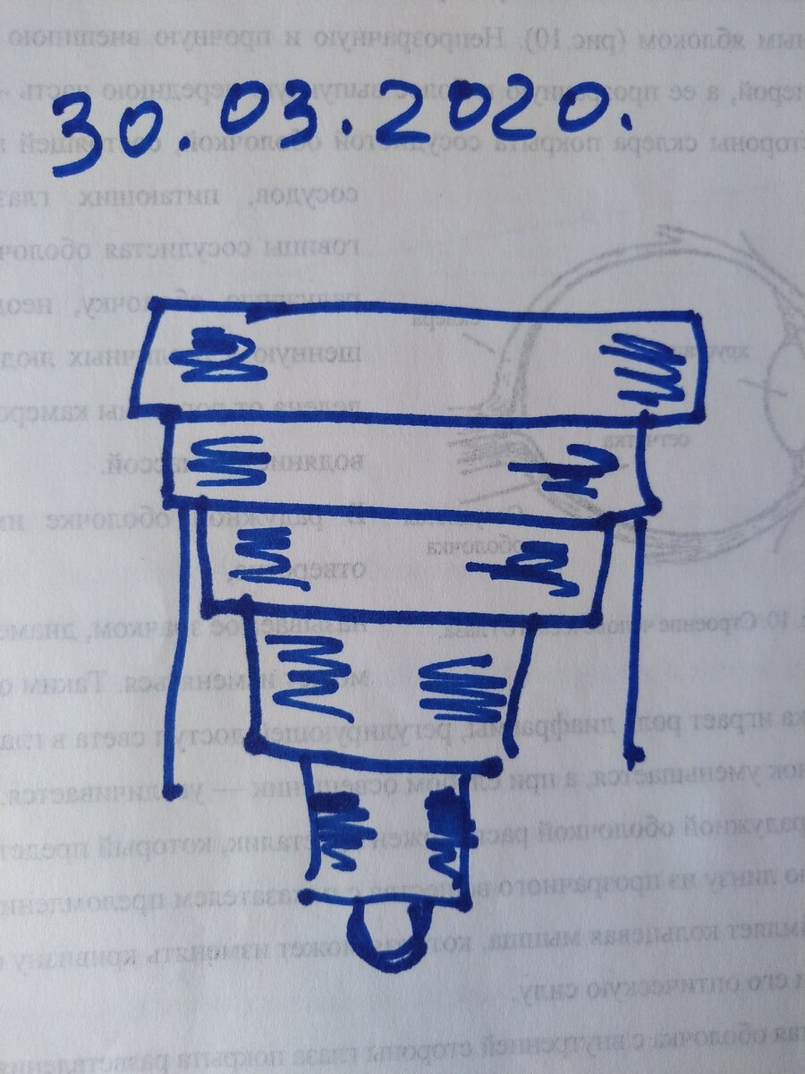 Рисунок согласован с женой, расхождений в "показаниях", нет.