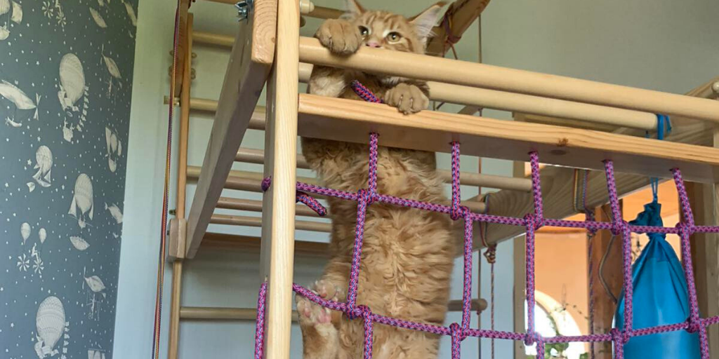 Движения всем нужны