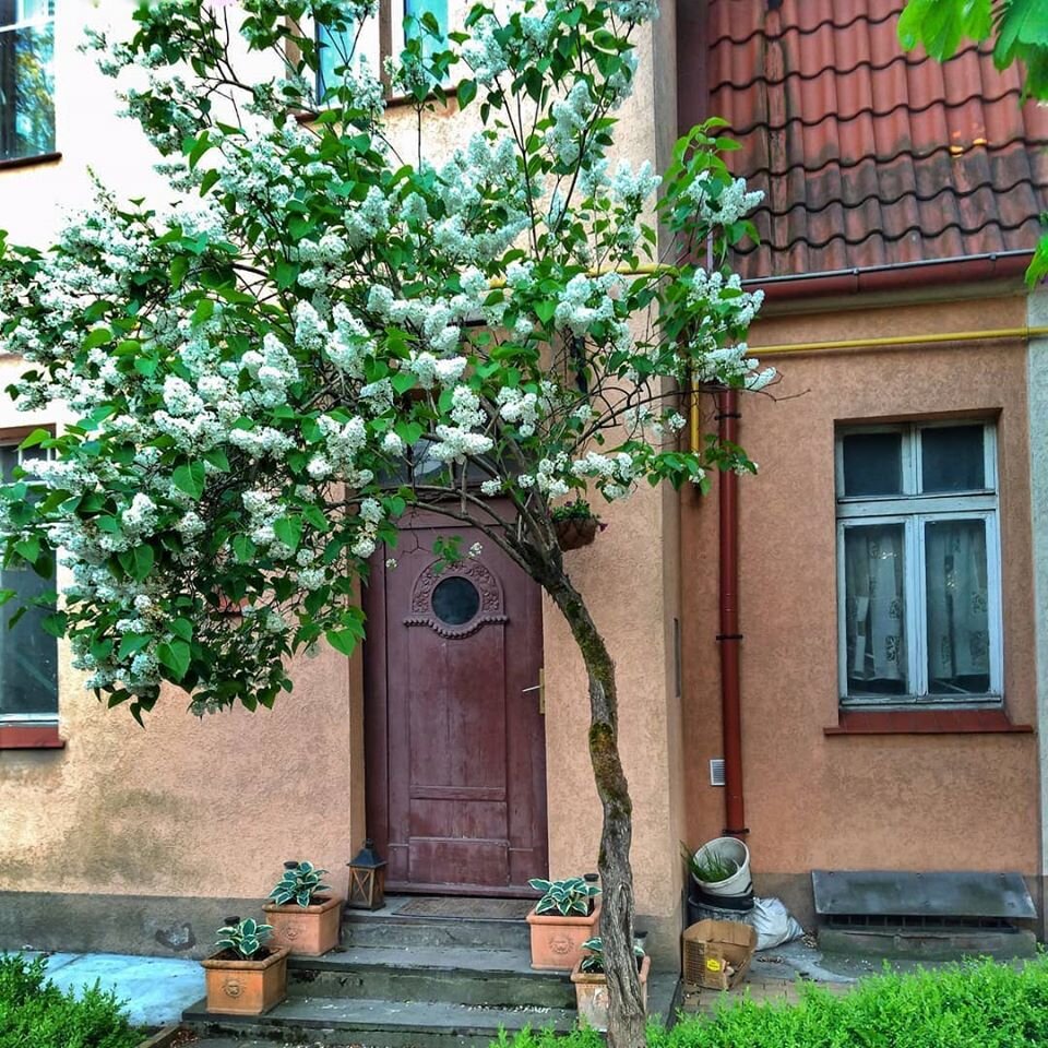 Фотография Александры Макаревич, май 2020 года. 