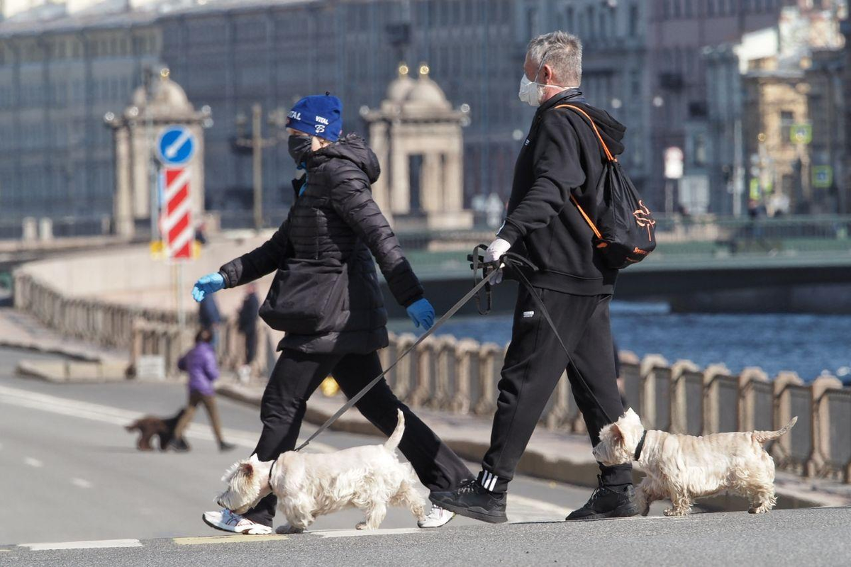 Фото: fontanka.mirtesen.ru