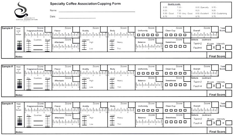 Бланк оценки спешелти кофе от SCA