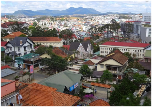 Фото с сайта: Яндекс. Коллекции.