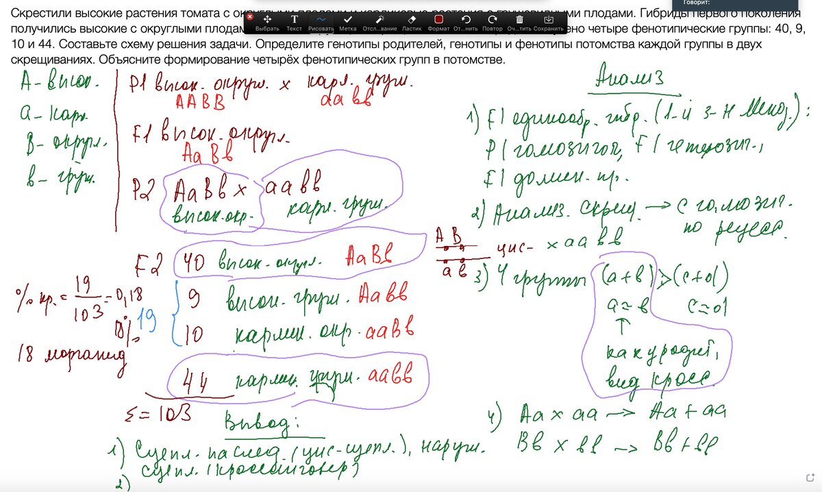 Задачи по генетике егэ биология 2024. Решение задач по биологии ЕГЭ 28 задание. Решение задач по генетике ЕГЭ. Генетика задачи ЕГЭ биология. Генетическая задача по биологии ЕГЭ.