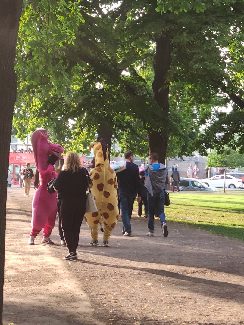 В поиске жертвы для нападения