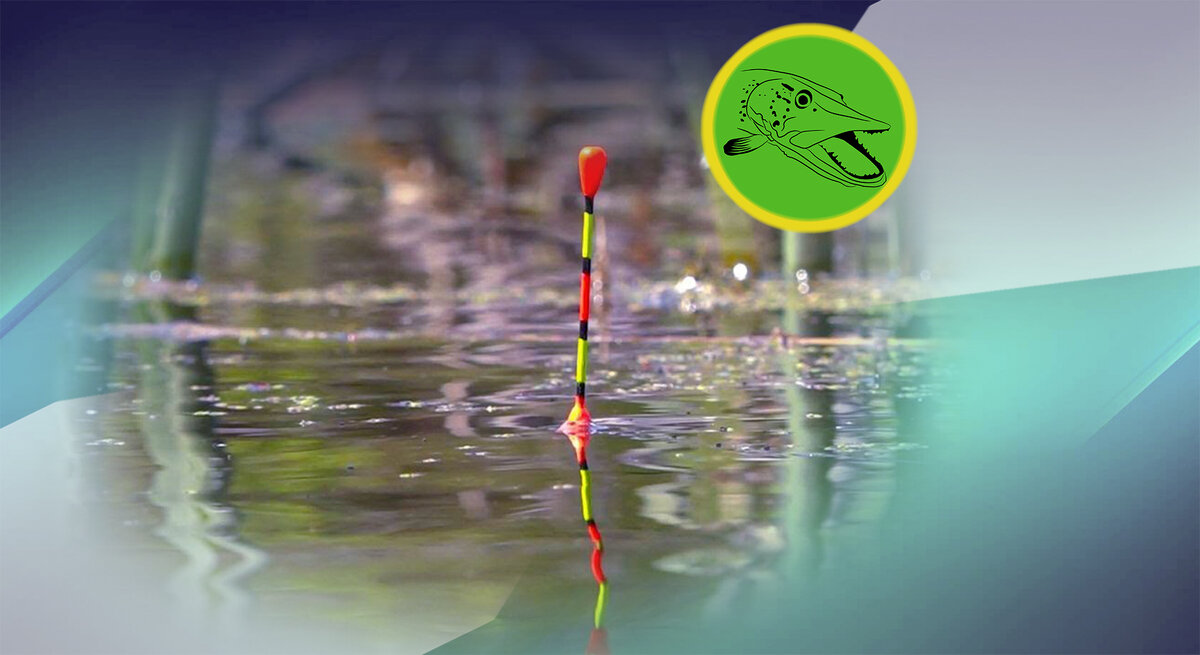 Ставьте лайк и подписывайтесь на канал! Вы поможете развитию канала!