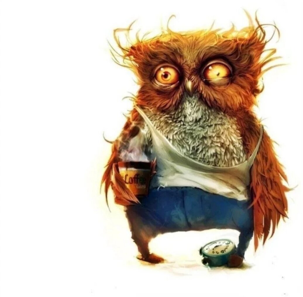 Фото из интернета