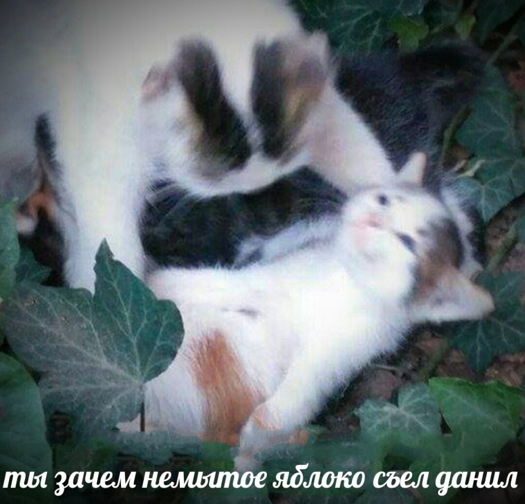 1 место!