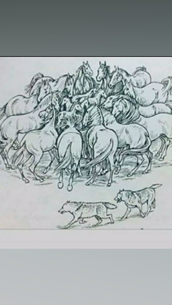 Лошади такие животные что хоть и сами умирают но свой жеребцов либо свойх же хозяйнов спасают.