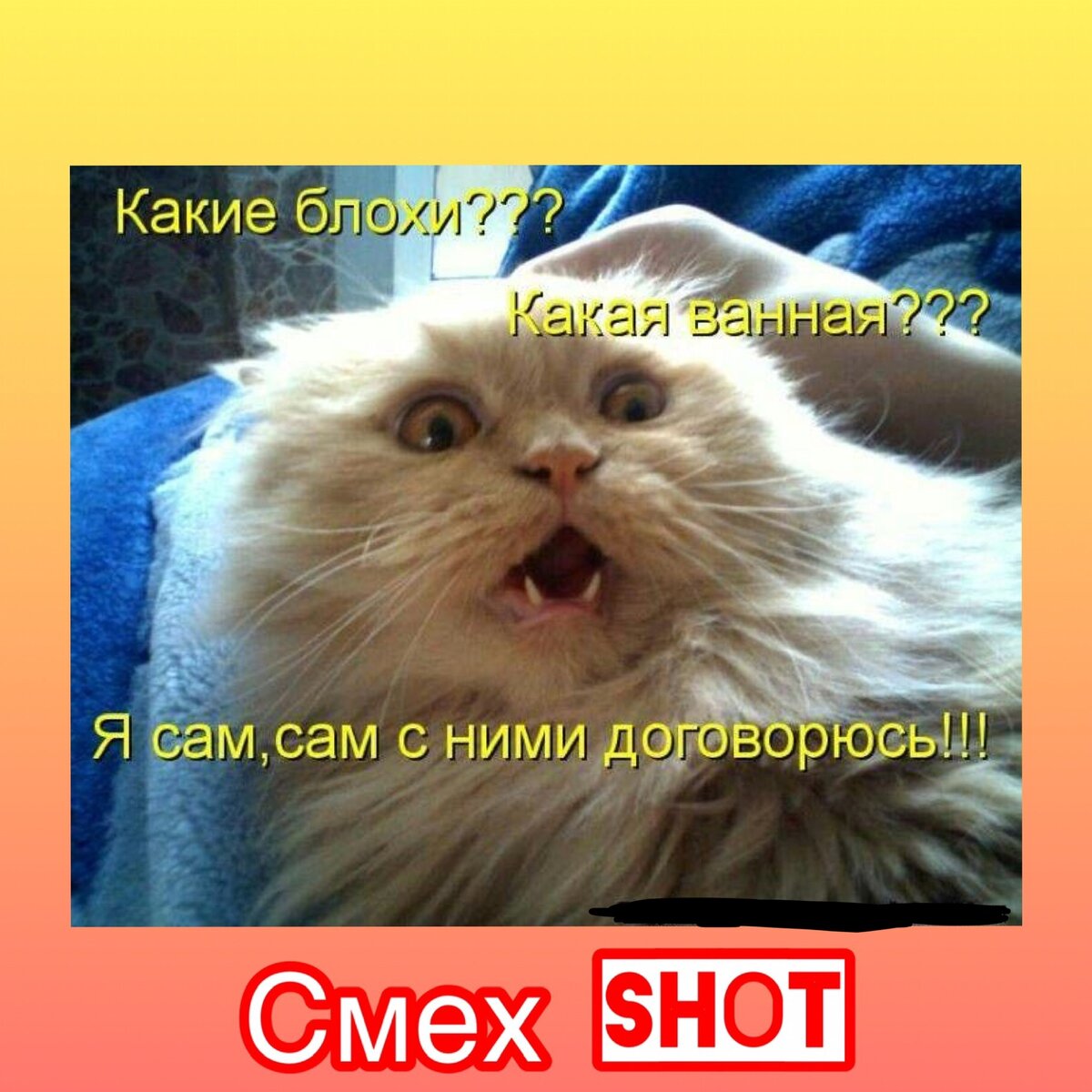 Яндекс.Картинки 