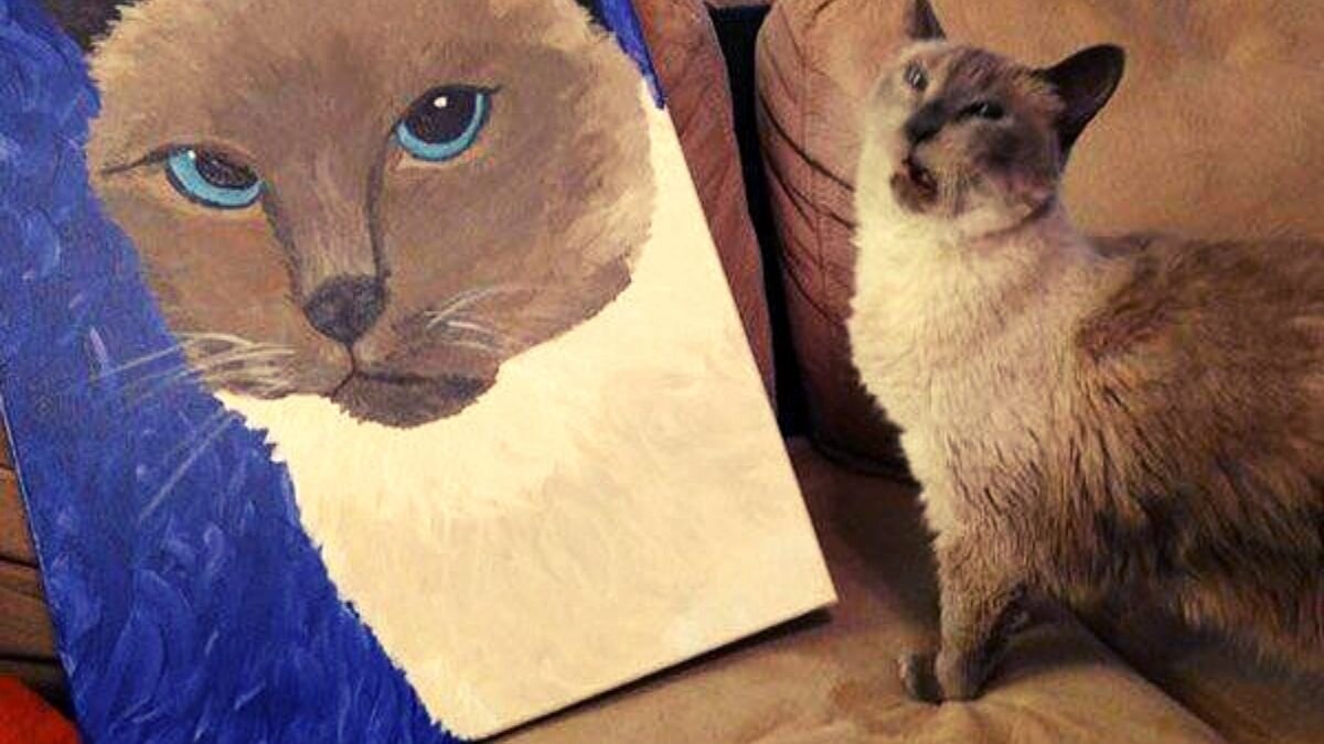 Когда клиент просит подешевле. Когда клиент говорит дорого. Условия заказа по 100% предоплате. То заказчик остается со мной платит. Мем с ди каприо из острова проклятых.