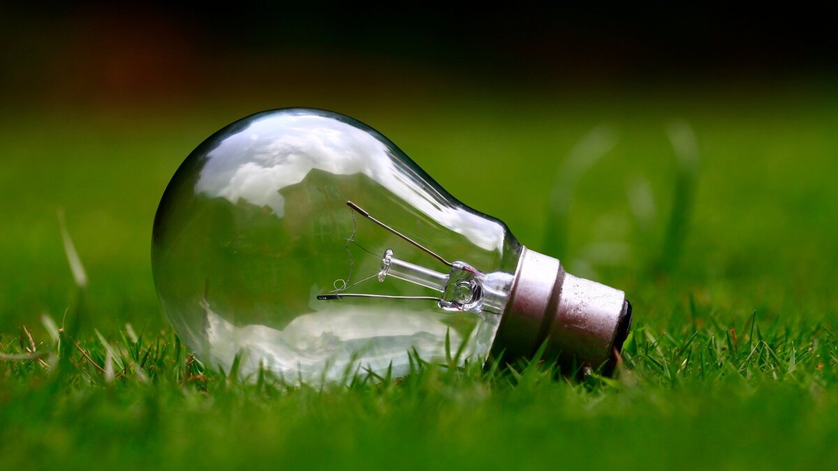 Источник: https://pixabay.com/