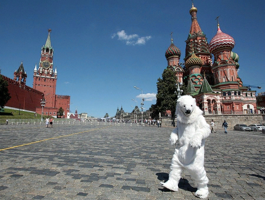 Смешно москва. Медведь на красной площади. Медведи на улицах России. Медведь в Москве на улице. Россия глазами иностранцев.