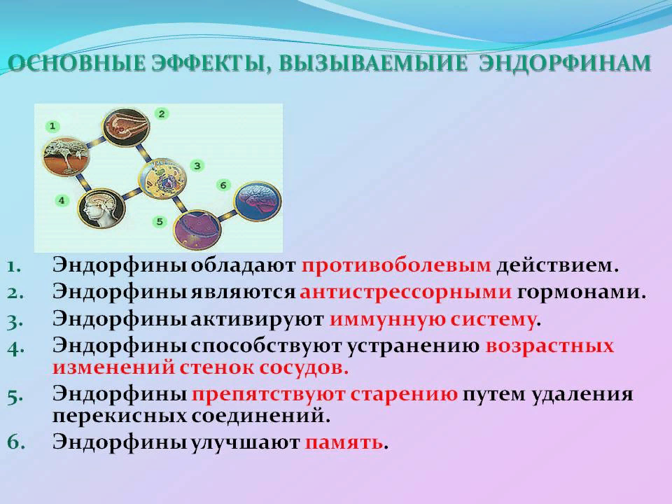 Эндорфин 6. Эндорфины гормоны счастья. Эндорфины функции. Эндорфин функции гормона. Эндорфины влияние на организм.